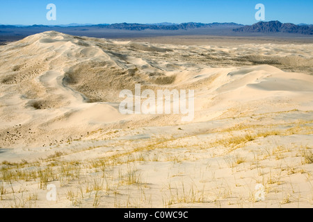 Kelso Dünen in der Mojave-Wüste, California. Stockfoto