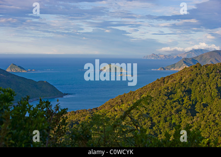 Bay, Marlborough Sounds, Südinsel, Neuseeland, Stockfoto