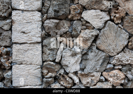 Dekorative Wand aus geschnittenen Korallenblöcke in Sanur-Bali-Indonesien Stockfoto