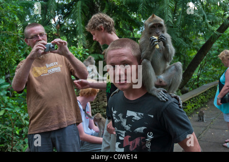 Touristen mit langschwänzigen Macacques in den Monkey Forest in Ubud Bali Indonesien Stockfoto