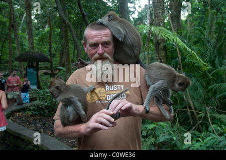 Touristen mit langschwänzigen Macacques in den Monkey Forest in Ubud Bali Indonesien Stockfoto