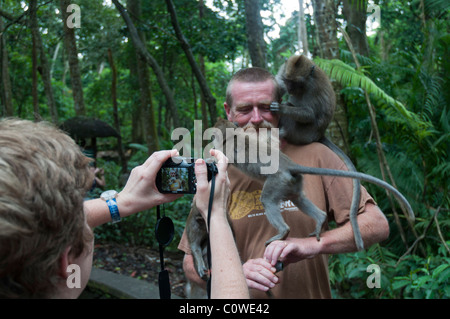 Touristen mit langschwänzigen Macacques in den Monkey Forest in Ubud Bali Indonesien Stockfoto