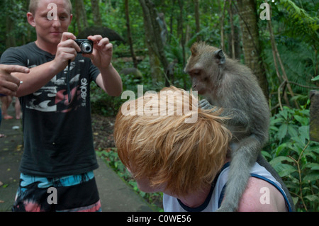 Touristen mit langschwänzigen Macacques in den Monkey Forest in Ubud Bali Indonesien Stockfoto