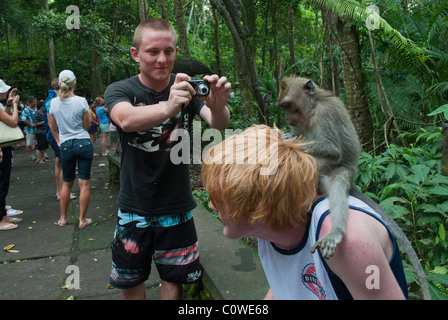 Touristen mit langschwänzigen Macacques in den Monkey Forest in Ubud Bali Indonesien Stockfoto