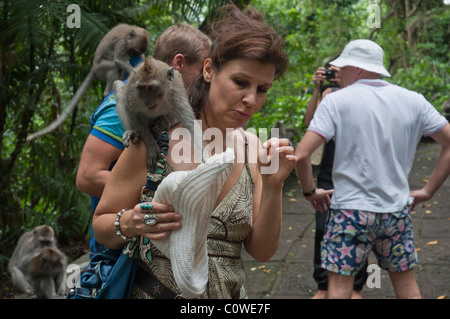 Touristen mit langschwänzigen Macacques in den Monkey Forest in Ubud Bali Indonesien Stockfoto