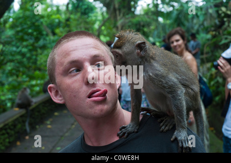 Touristen mit langschwänzigen Macacques in den Monkey Forest in Ubud Bali Indonesien Stockfoto