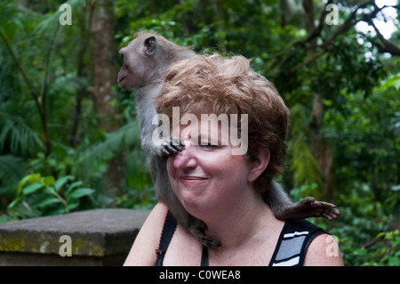 Touristen mit langschwänzigen Macacques in den Monkey Forest in Ubud Bali Indonesien Stockfoto