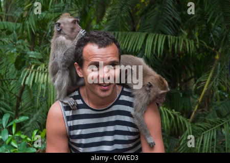 Touristen mit langschwänzigen Macacques in den Monkey Forest in Ubud Bali Indonesien Stockfoto