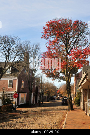 Urigen Kopfsteinpflaster - Easy Street und Main Street, Nantucket, Massachusetts im Herbst mit roten Blätter am Baum. Stockfoto
