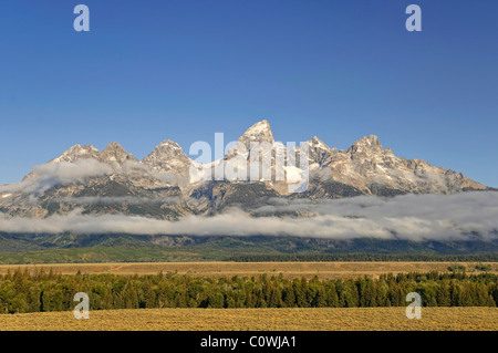 Teton Bergkette, Grand-Teton-Nationalpark, Wyoming, USA Stockfoto