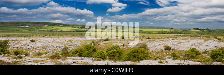 Die carran Depression, eine große karstige Depressionen oder doline im Burren, County Clare, Irland Stockfoto