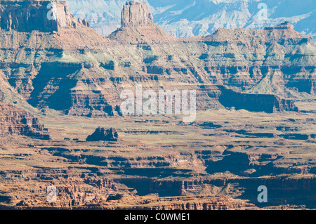 Blick auf La Sal Mountains, Colorado Plateau, Fluss, 6000 Fuß über dem Meeresspiegel, Salzseen, geologische, Dead Horse State Park, Utah, USA Stockfoto