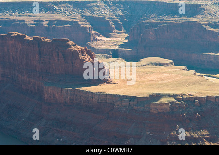 Blick auf La Sal Mountains, Colorado Plateau, Fluss, 6000 Fuß über dem Meeresspiegel, Salzseen, geologische, Dead Horse State Park, Utah, USA Stockfoto