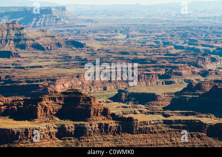 Blick auf La Sal Mountains, Colorado Plateau, Fluss, 6000 Fuß über dem Meeresspiegel, Salzseen, geologische, Dead Horse State Park, Utah, USA Stockfoto