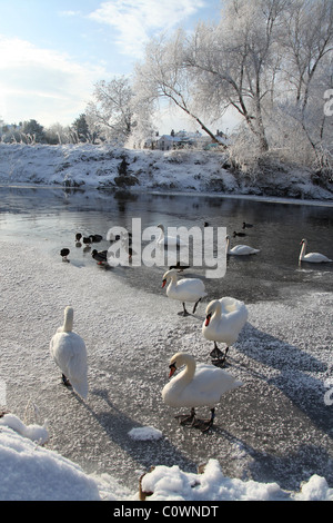 Dorf von Farndon, England. Malerische Aussicht auf den Fluss Dee auf einen kalten, verschneiten Wintertag mit Holt Brücke im Hintergrund. Stockfoto