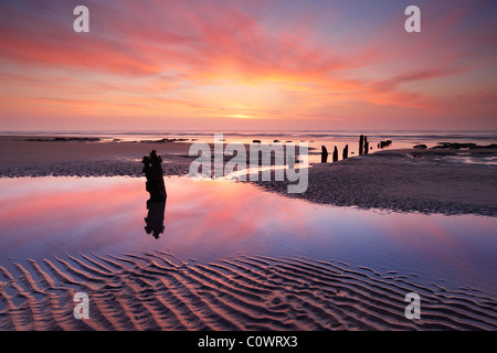 Alte hölzerne Küstenschutzes Winchelsea Beach, East Sussex. Stockfoto