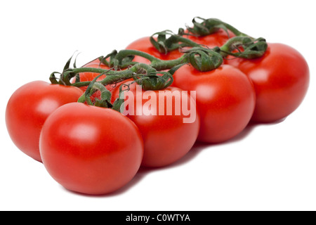 acht frischen gereift roten strauchtomaten am Rebstock vor einem weißen Hintergrund isoliert Stockfoto