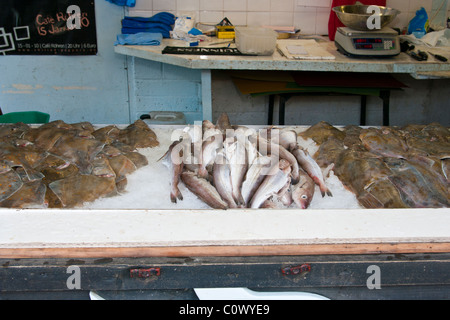 Frisch gefangenen Fisch auf Fisch Stall England Stockfoto