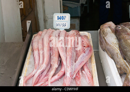 Fangfrisch Huss auf eine Fisch-Stall Stockfoto