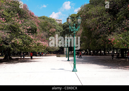 Public Square General San Martín in Buenos Aires. Argentinien. Stockfoto