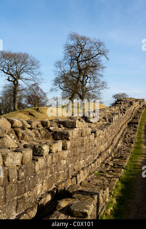 Entlang eines Teils der Hadrianswall mit dem Hadrianswall nationalen Pfad entlang anzeigen Stockfoto