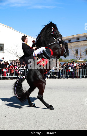 Durchführung der menorquinischen Dressur Reiter Stockfoto