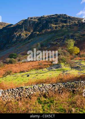 Der Westhang von WhinRigg bei Wastwater bei Nether Wasdale im Lake District National Park, Cumbria, England. Stockfoto