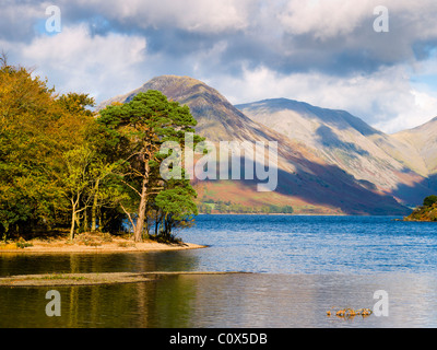 Low Wood at Wastwater mit Yewbarrow und Kirk fiel in der Ferne in der Nähe von Nether Wasdale im Lake District National Park, Cumbria, England. Stockfoto