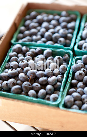 Körbe mit Bio Heidelbeeren zum Verkauf verpackt. Applegate Valley, Oregon. Stockfoto