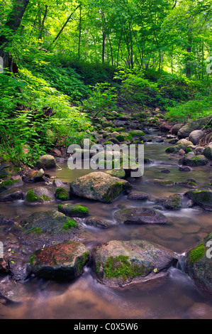 Rock Creek, Cantobon Woods State Park, Jackson County, Minnesota Stockfoto