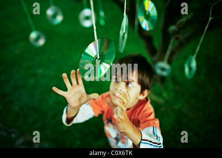 Sieben Jahre alter Junge erreicht für Scheiben aufgehängt Baum Stockfoto