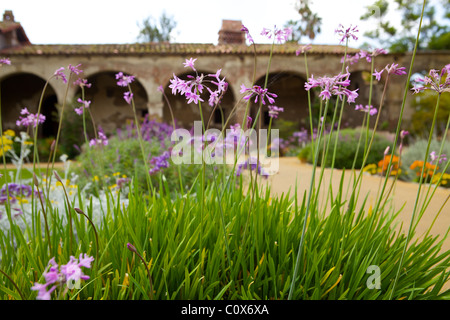 Mission Garten San Juan Capistrano, Orange County Stockfoto