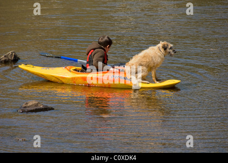 Junge im Kajak, Hund sitzt auf It, England, UK Stockfoto