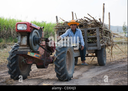 Landwirt im Isan Nord Ost Thailand den Transport seiner Zeit Ernte von Zuckerrohr an die örtliche Genossenschaft für Wäge- und Verkauf. Stockfoto