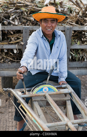 Landwirt im Isan Nord Ost Thailand den Transport seiner Zeit Ernte von Zuckerrohr an die örtliche Genossenschaft für Wäge- und Verkauf. Stockfoto