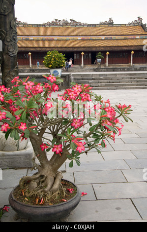 Asien, Vietnam, Da Nang. Alte Kaiserstadt Hauptstadt Hue. 17. Jahrhundert (Nguyen Dynastie) königliche Zitadelle von Hue. Stockfoto