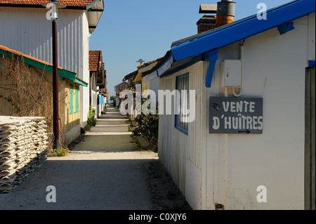 Oyster Farmer es Häuser und Gasse im Dorf du Canon, Cap Ferret, Departement Gironde, Frankreich Stockfoto