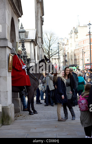 Eines der Königin von England Pferde auf der Hut an der Horse Guards London England Stockfoto
