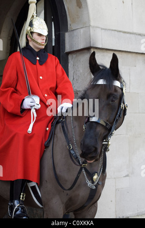 Eines der Königin von England Pferde auf der Hut an der Horse Guards London England Stockfoto
