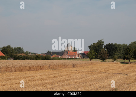 Blick über Weizenfelder in Richtung ziemlich Französisch Stadt von Esquelbecq, Nord-Frankreich. Stockfoto