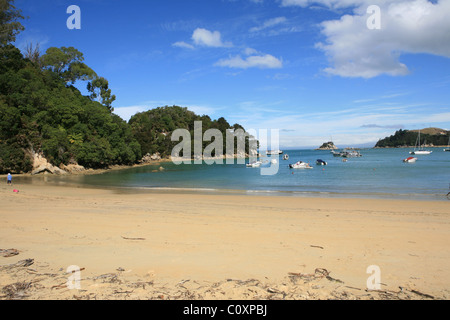 Ein Strand in der Nähe von Split Apple Rock, nördlich von Kaiteriteri - Abel Tasman Nationalpark Stockfoto