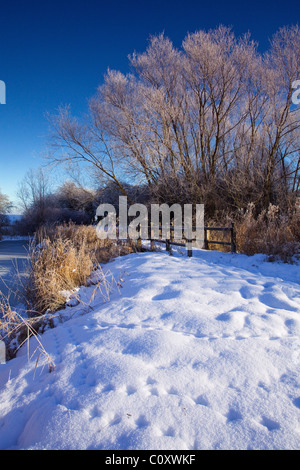 Ein Gefrorener Teich in der englischen Landschaft an einem Wintertag Stockfoto