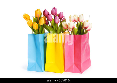 Tulpen im Warenkorb isoliert auf weiss Stockfoto