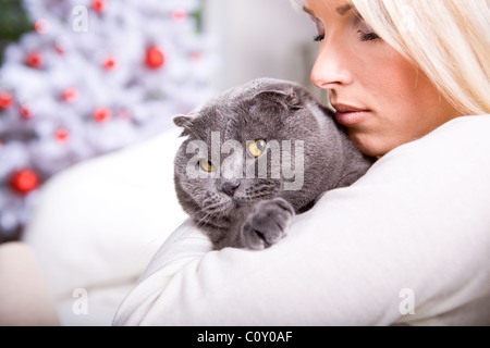 Xmas-Porträt einer Katze Stockfoto