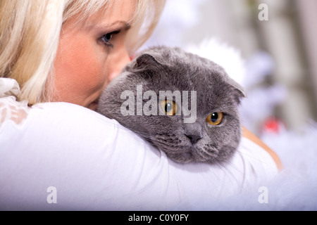 Xmas-Porträt einer Katze Stockfoto