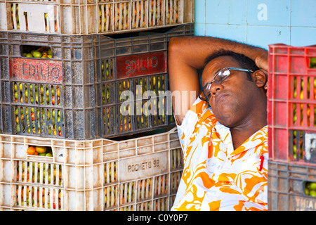 Feira São Joaquim Markt in Salvador, Bahia, Brasilien Stockfoto