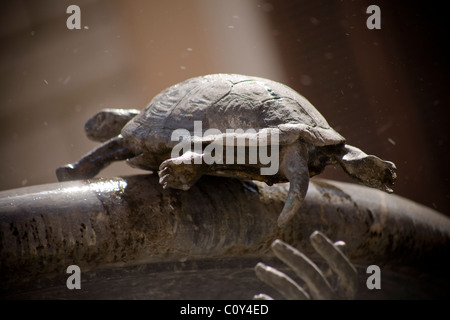 Bronze Schildkröte auf der Lippe der Schale der Schildkröte-Brunnen in Rom Stockfoto