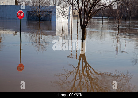 Findlay, Ohio - nach starkem Regen und Schnee schmelzen, läuft der Blanchard River seinen Ufern. Stockfoto