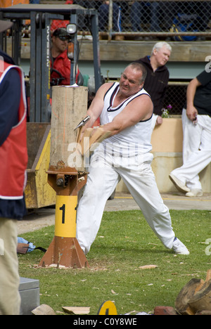 Ein Holz hacken Veranstaltung im Royal Adelaide Show, South Australia Stockfoto