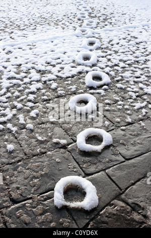 Cat Paw Prints im tauenden Schnee erhalten Stockfoto